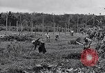 Standbild Malayan Abrechnung Malaya, 1959, aus Sekunde 38 historischem Filmmaterial Videoclip 65675031124