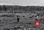 Standbild Malayan Abrechnung Malaya, 1959, aus Sekunde 39 historischem Filmmaterial Videoclip 65675031124