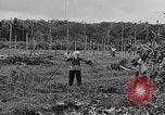 Standbild Malayan Abrechnung Malaya, 1959, aus Sekunde 40 historischem Filmmaterial Videoclip 65675031124
