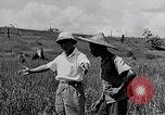 Standbild Malayan Abrechnung Malaya, 1959, aus Sekunde 41 historischem Filmmaterial Videoclip 65675031124