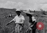 Standbild Malayan Abrechnung Malaya, 1959, aus Sekunde 42 historischem Filmmaterial Videoclip 65675031124