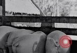 Standbild Malayan Abrechnung Malaya, 1959, aus Sekunde 46 historischem Filmmaterial Videoclip 65675031124