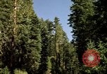 Immagine di Yosemite Valley Mariposa California USA, 1976, secondo 3 filmato di repertorio 65675031133