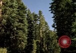 Immagine di Yosemite Valley Mariposa California USA, 1976, secondo 4 filmato di repertorio 65675031133