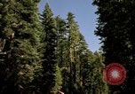 Immagine di Yosemite Valley Mariposa California USA, 1976, secondo 5 filmato di repertorio 65675031133