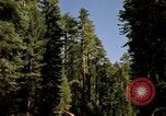 Immagine di Yosemite Valley Mariposa California USA, 1976, secondo 6 filmato di repertorio 65675031133