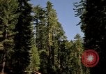 Immagine di Yosemite Valley Mariposa California USA, 1976, secondo 7 filmato di repertorio 65675031133