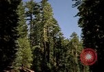 Immagine di Yosemite Valley Mariposa California USA, 1976, secondo 8 filmato di repertorio 65675031133