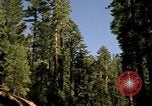 Immagine di Yosemite Valley Mariposa California USA, 1976, secondo 9 filmato di repertorio 65675031133
