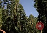 Immagine di Yosemite Valley Mariposa California USA, 1976, secondo 10 filmato di repertorio 65675031133
