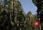Immagine di Yosemite Valley Mariposa California USA, 1976, secondo 11 filmato di repertorio 65675031133