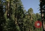 Immagine di Yosemite Valley Mariposa California USA, 1976, secondo 12 filmato di repertorio 65675031133