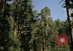 Immagine di Yosemite Valley Mariposa California USA, 1976, secondo 13 filmato di repertorio 65675031133