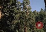 Immagine di Yosemite Valley Mariposa California USA, 1976, secondo 14 filmato di repertorio 65675031133