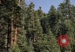 Immagine di Yosemite Valley Mariposa California USA, 1976, secondo 16 filmato di repertorio 65675031133