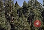 Immagine di Yosemite Valley Mariposa California USA, 1976, secondo 17 filmato di repertorio 65675031133