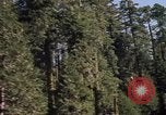 Immagine di Yosemite Valley Mariposa California USA, 1976, secondo 19 filmato di repertorio 65675031133