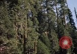 Immagine di Yosemite Valley Mariposa California USA, 1976, secondo 20 filmato di repertorio 65675031133