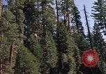 Immagine di Yosemite Valley Mariposa California USA, 1976, secondo 21 filmato di repertorio 65675031133