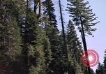 Immagine di Yosemite Valley Mariposa California USA, 1976, secondo 22 filmato di repertorio 65675031133