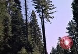 Immagine di Yosemite Valley Mariposa California USA, 1976, secondo 23 filmato di repertorio 65675031133