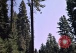 Immagine di Yosemite Valley Mariposa California USA, 1976, secondo 24 filmato di repertorio 65675031133