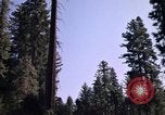 Immagine di Yosemite Valley Mariposa California USA, 1976, secondo 25 filmato di repertorio 65675031133