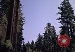 Immagine di Yosemite Valley Mariposa California USA, 1976, secondo 26 filmato di repertorio 65675031133