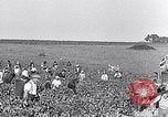 Image of grape harvest France, 1931, second 6 stock footage video 65675031149