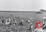 Image of grape harvest France, 1931, second 8 stock footage video 65675031149