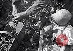 Image of grape harvest France, 1931, second 22 stock footage video 65675031149