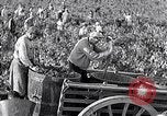 Image of grape harvest France, 1931, second 31 stock footage video 65675031149