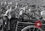 Image of grape harvest France, 1931, second 36 stock footage video 65675031149