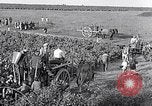 Image of grape harvest France, 1931, second 46 stock footage video 65675031149