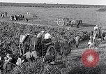 Image of grape harvest France, 1931, second 48 stock footage video 65675031149