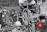 Image of grape harvest France, 1931, second 59 stock footage video 65675031149