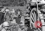 Image of grape harvest France, 1931, second 61 stock footage video 65675031149