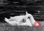 Image of parks Paris France, 1933, second 27 stock footage video 65675031154