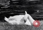 Image of parks Paris France, 1933, second 28 stock footage video 65675031154