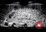 Image of circus wedding New York United States USA, 1966, second 7 stock footage video 65675031162