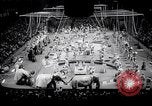 Image of circus wedding New York United States USA, 1966, second 8 stock footage video 65675031162