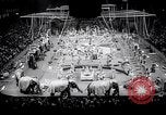 Image of circus wedding New York United States USA, 1966, second 9 stock footage video 65675031162