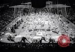 Image of circus wedding New York United States USA, 1966, second 11 stock footage video 65675031162