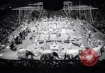 Image of circus wedding New York United States USA, 1966, second 14 stock footage video 65675031162