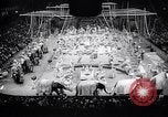 Image of circus wedding New York United States USA, 1966, second 15 stock footage video 65675031162