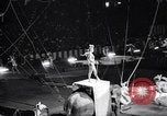 Image of circus wedding New York United States USA, 1966, second 23 stock footage video 65675031162