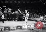 Image of circus wedding New York United States USA, 1966, second 28 stock footage video 65675031162