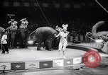 Image of circus wedding New York United States USA, 1966, second 29 stock footage video 65675031162