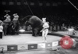 Image of circus wedding New York United States USA, 1966, second 30 stock footage video 65675031162
