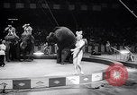 Image of circus wedding New York United States USA, 1966, second 31 stock footage video 65675031162